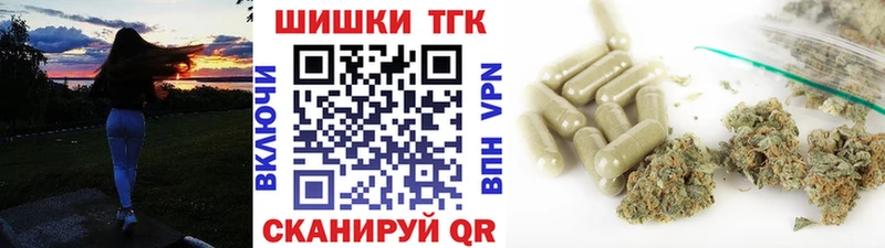 Бошки Шишки Каневская