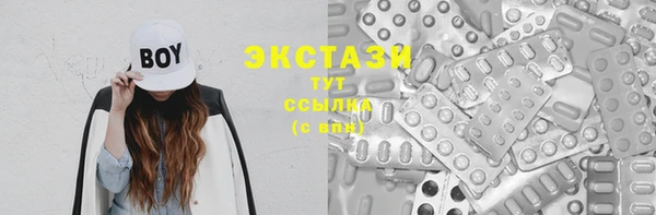 гашик Алексин