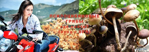 mdpv Алзамай