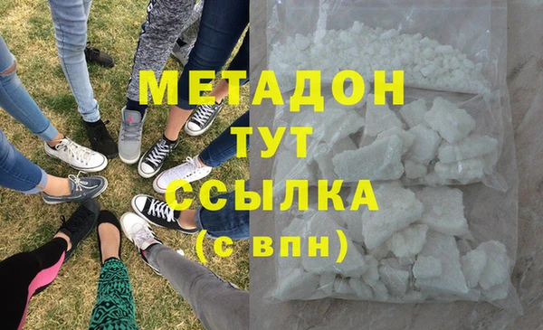 гашик Алексин