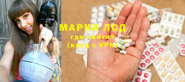 гашик Алексин