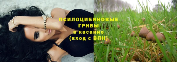 соль ск Алексеевка